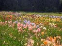 DSCN4640.jpg