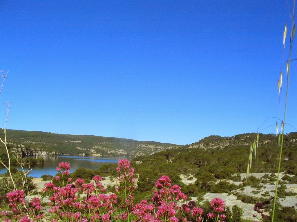 sortie_greoux_vendredi_matin_015.jpg