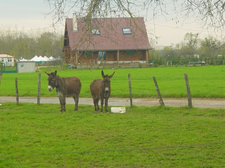 pic089.jpg