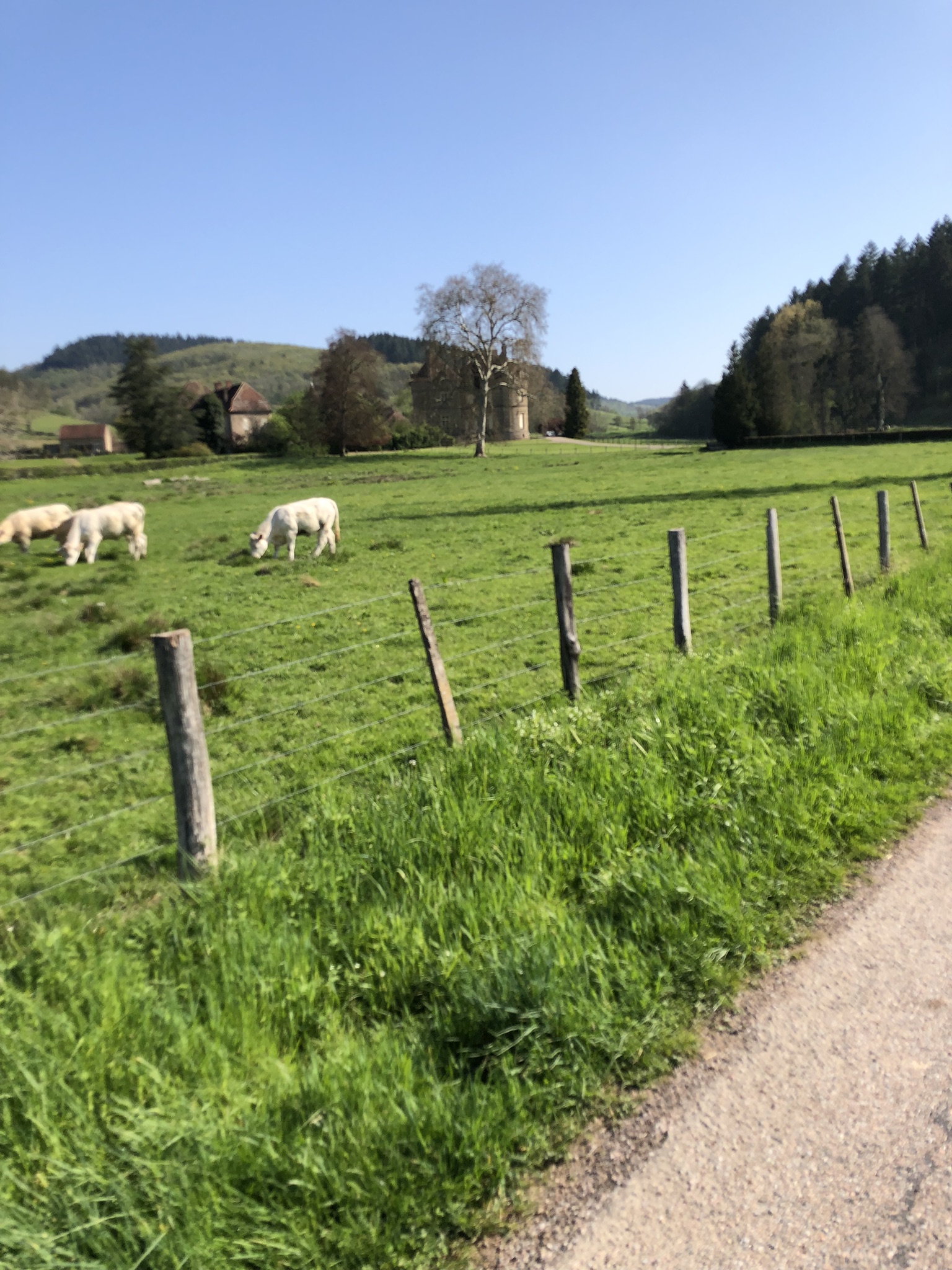 IMG_2239.JPEG