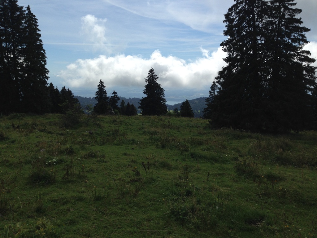 IMG_1707.JPG