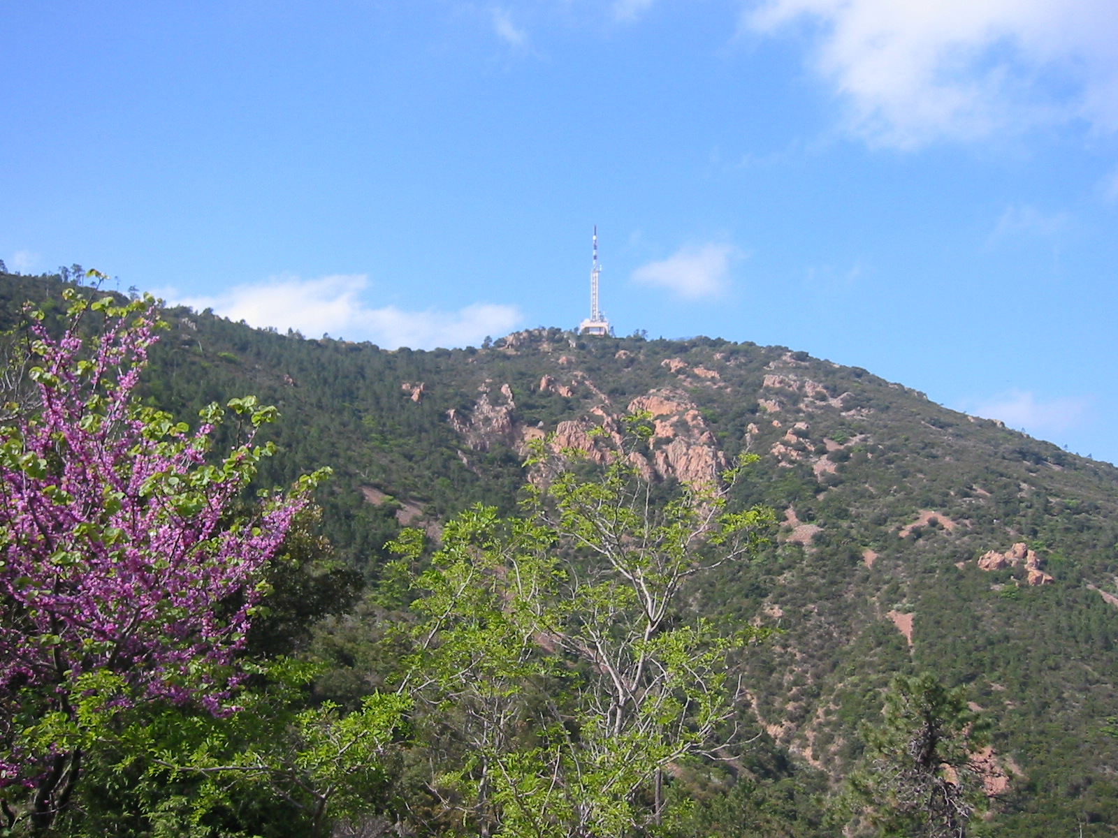 CLM_La_Bouverie_2005_111.jpg