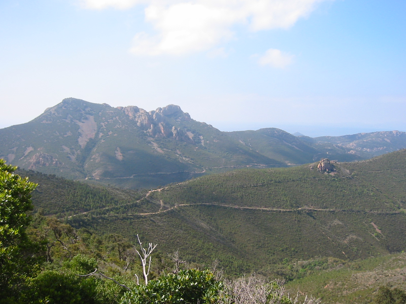 CLM_La_Bouverie_2005_115.jpg