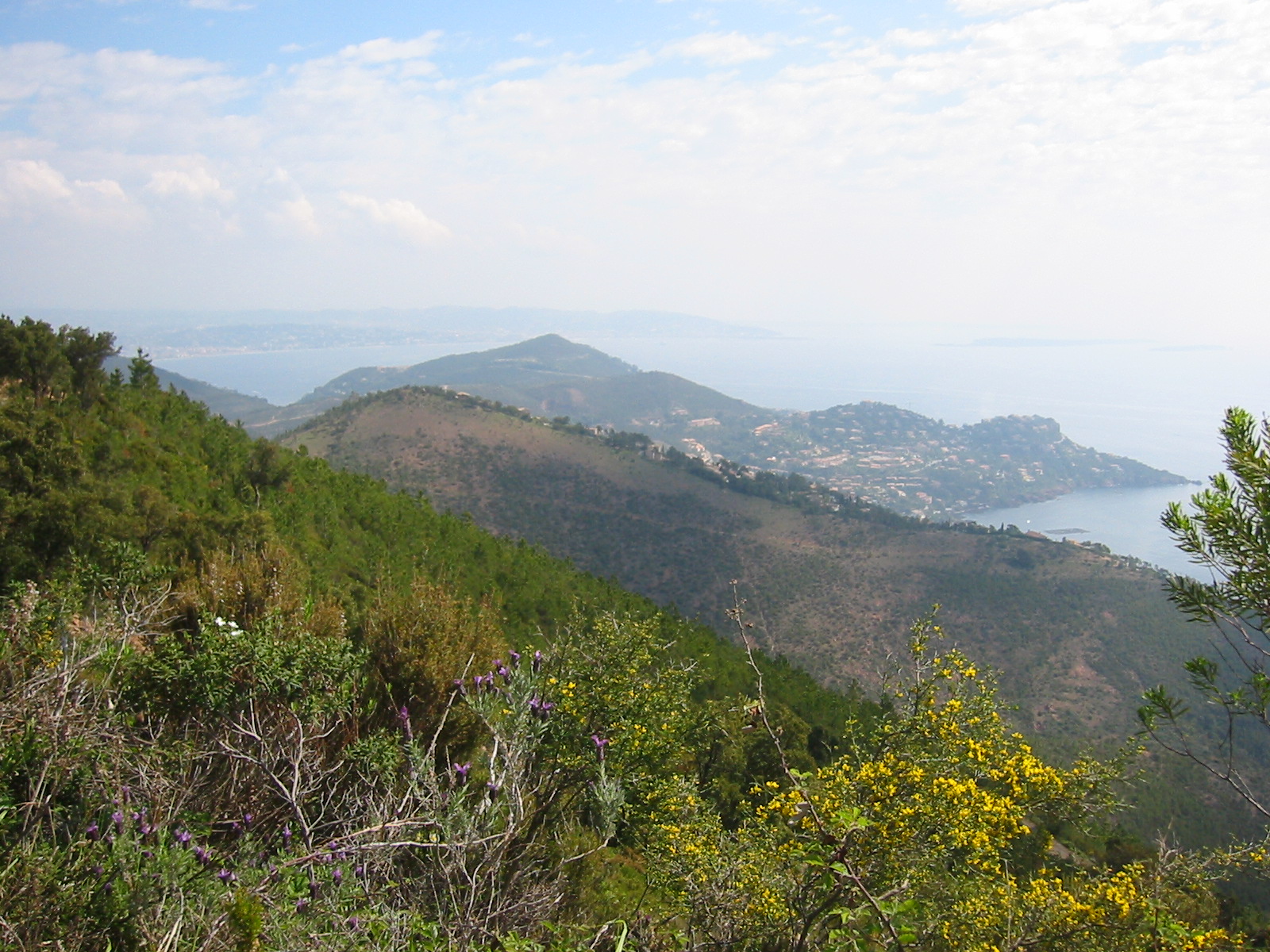 CLM_La_Bouverie_2005_128.jpg