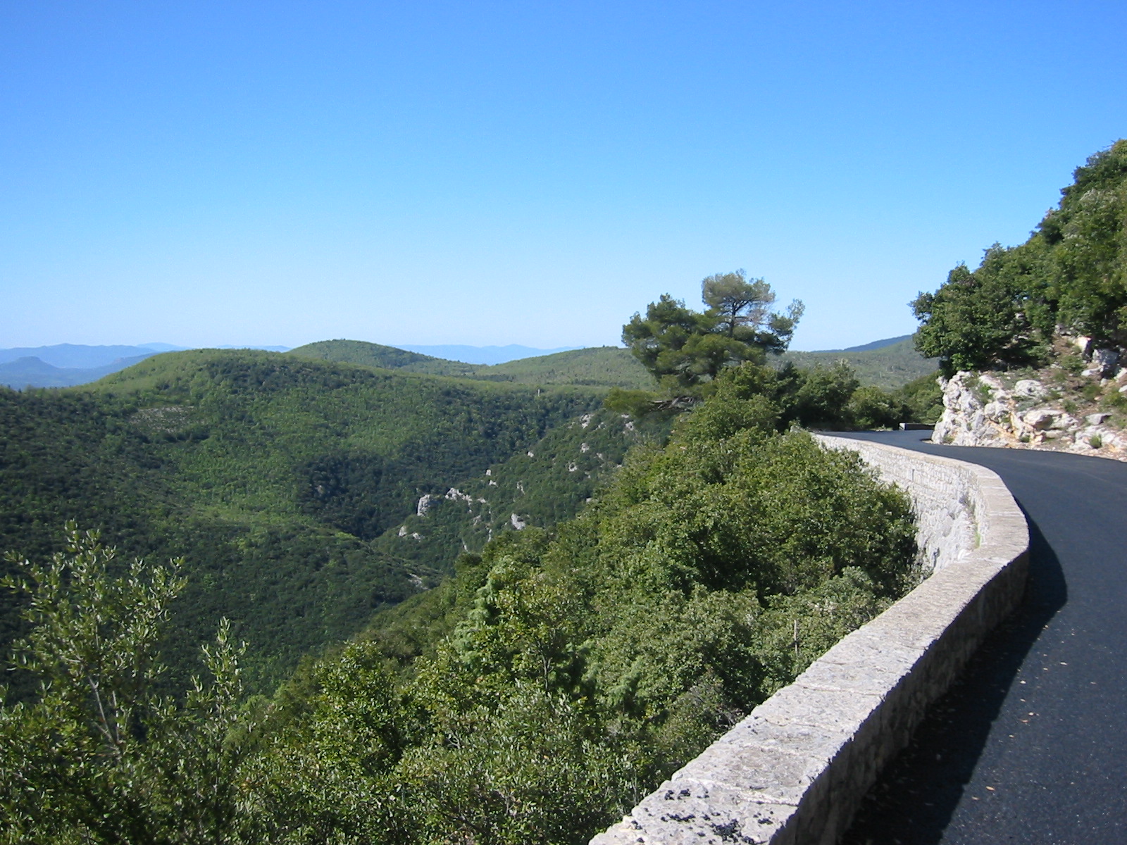 CLM_La_Bouverie_2005_193.jpg