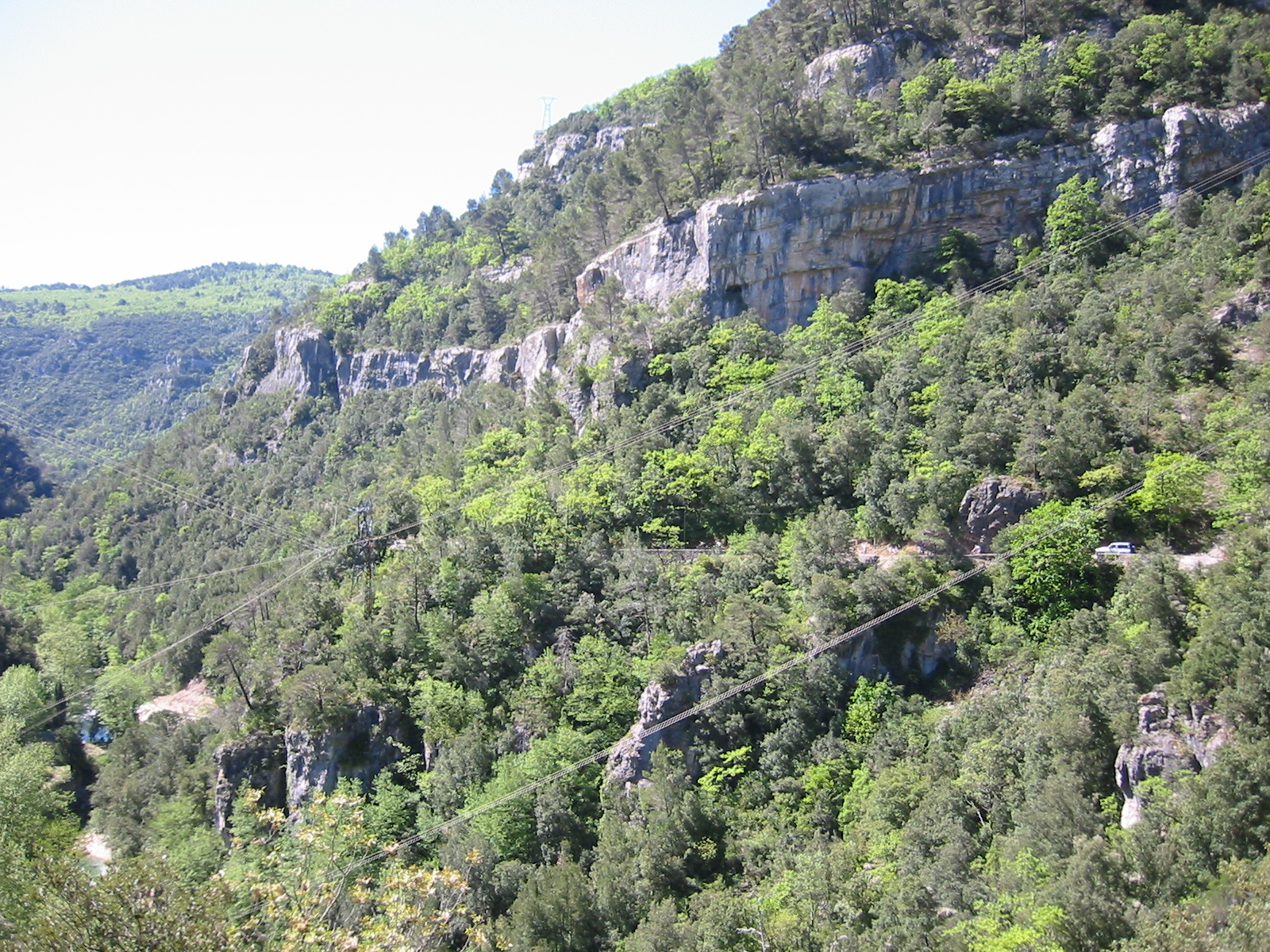 CLM_La_Bouverie_2005_208.jpg