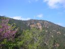 CLM_La_Bouverie_2005_111.jpg