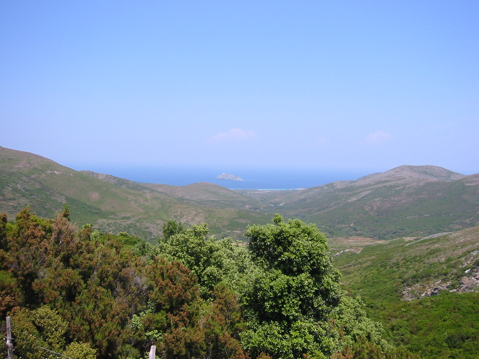 105-0514_IMG.JPG