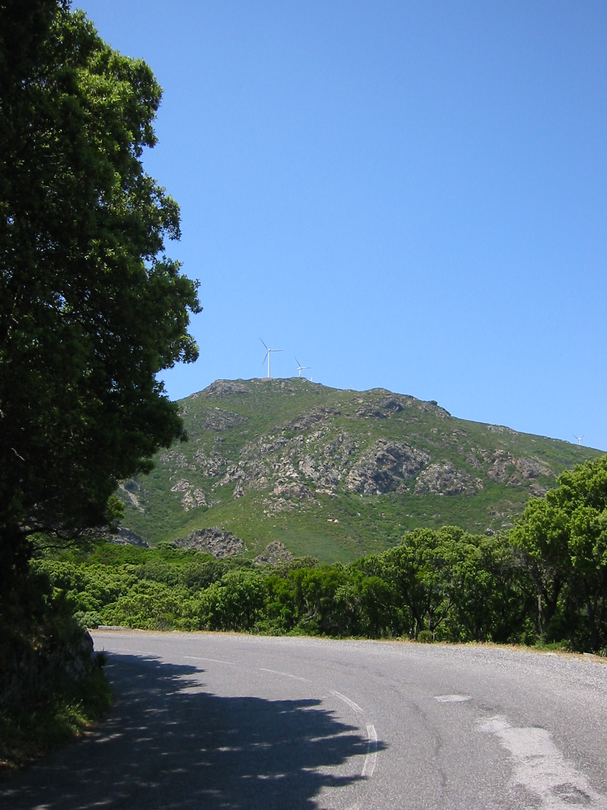 105-0518_IMG.JPG