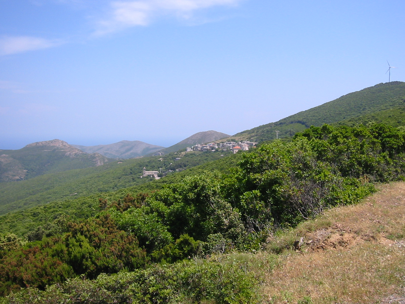 105-0523_IMG.JPG
