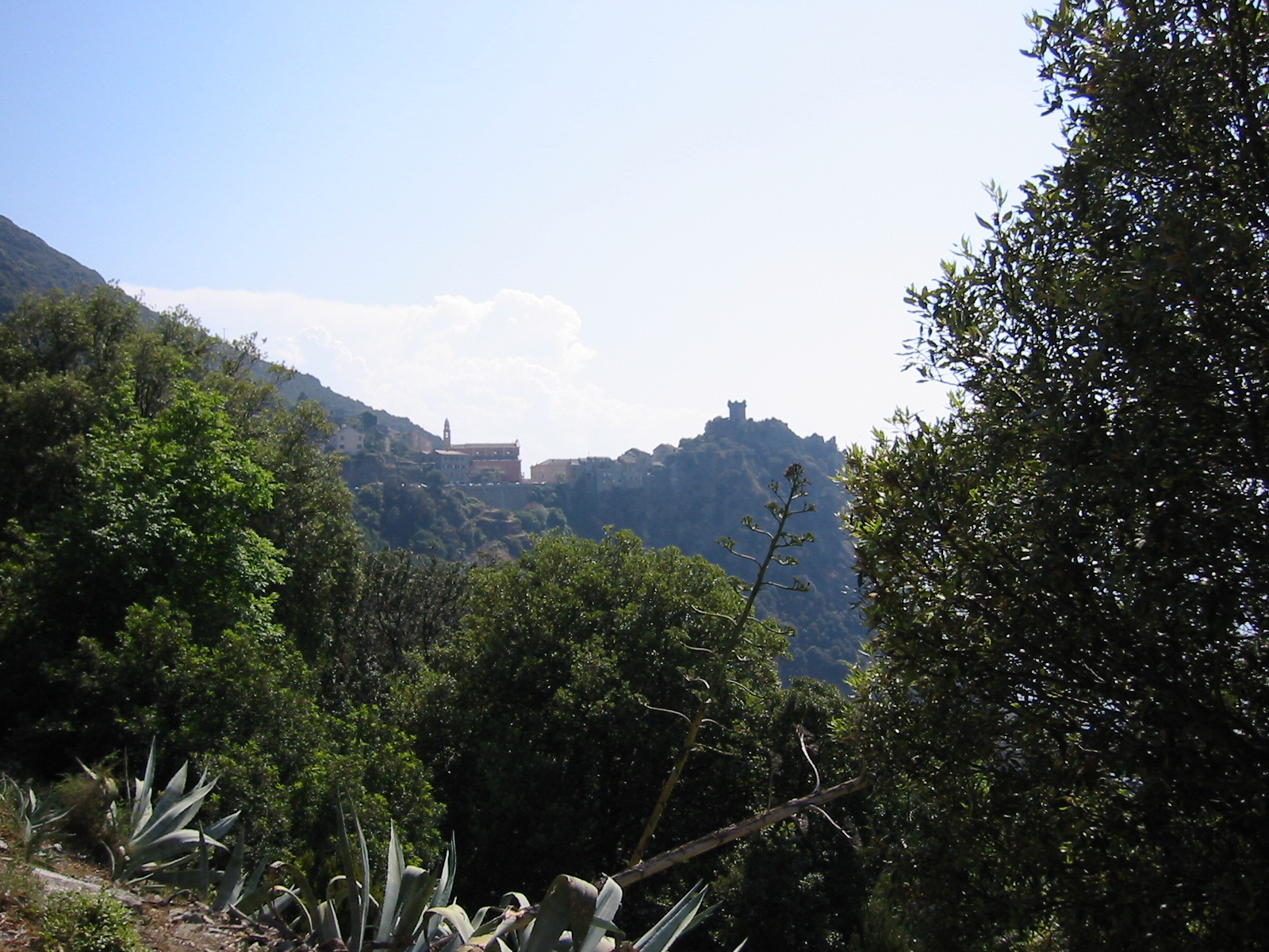 105-0543_IMG.JPG