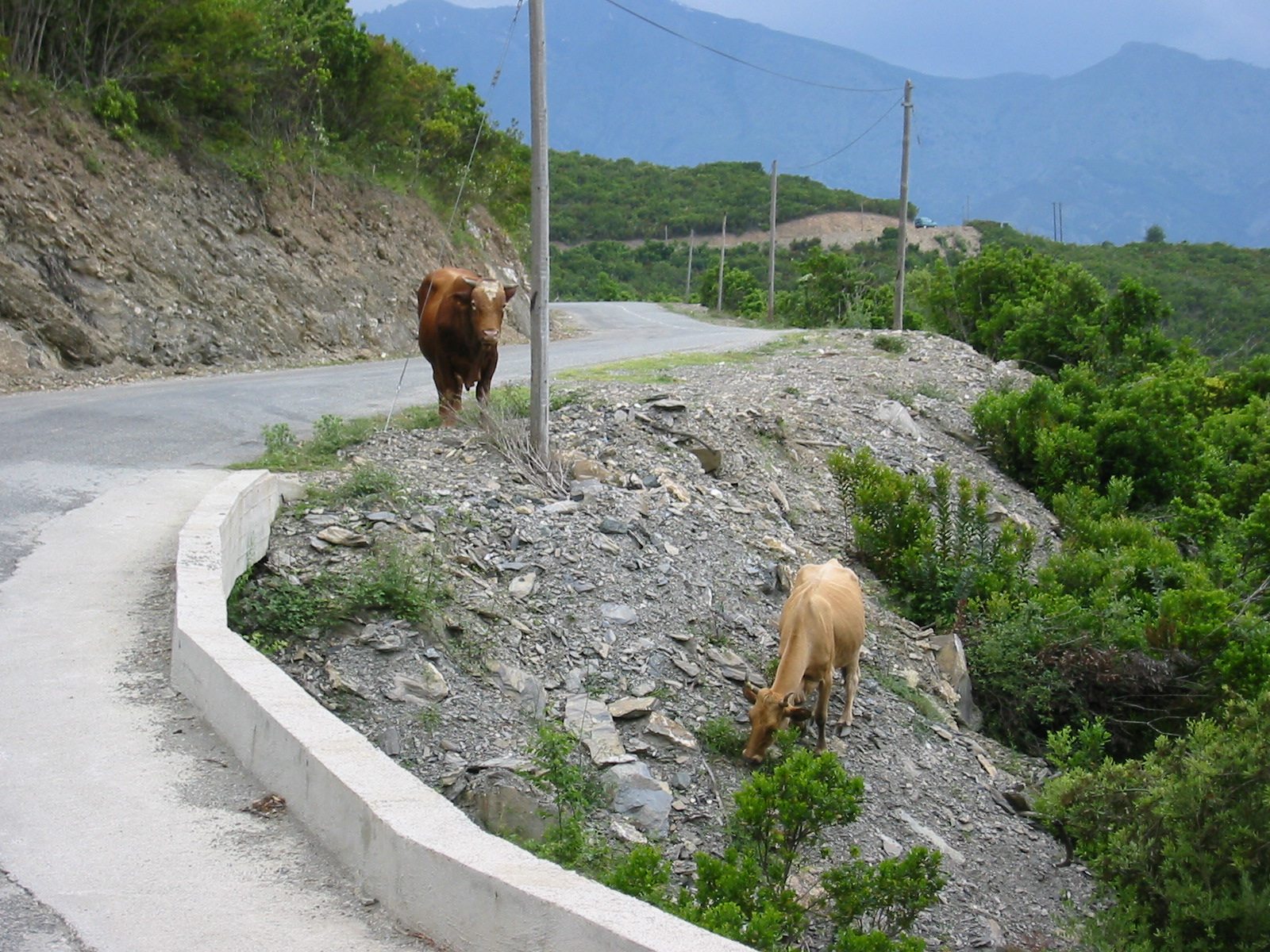 105-0564_IMG.JPG