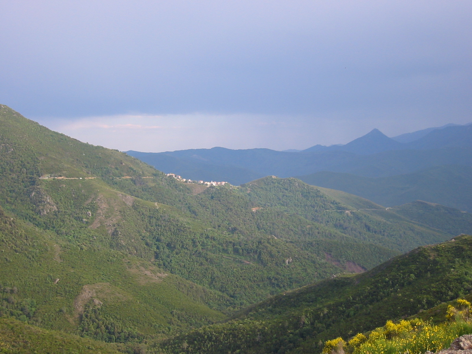 105-0569_IMG.JPG