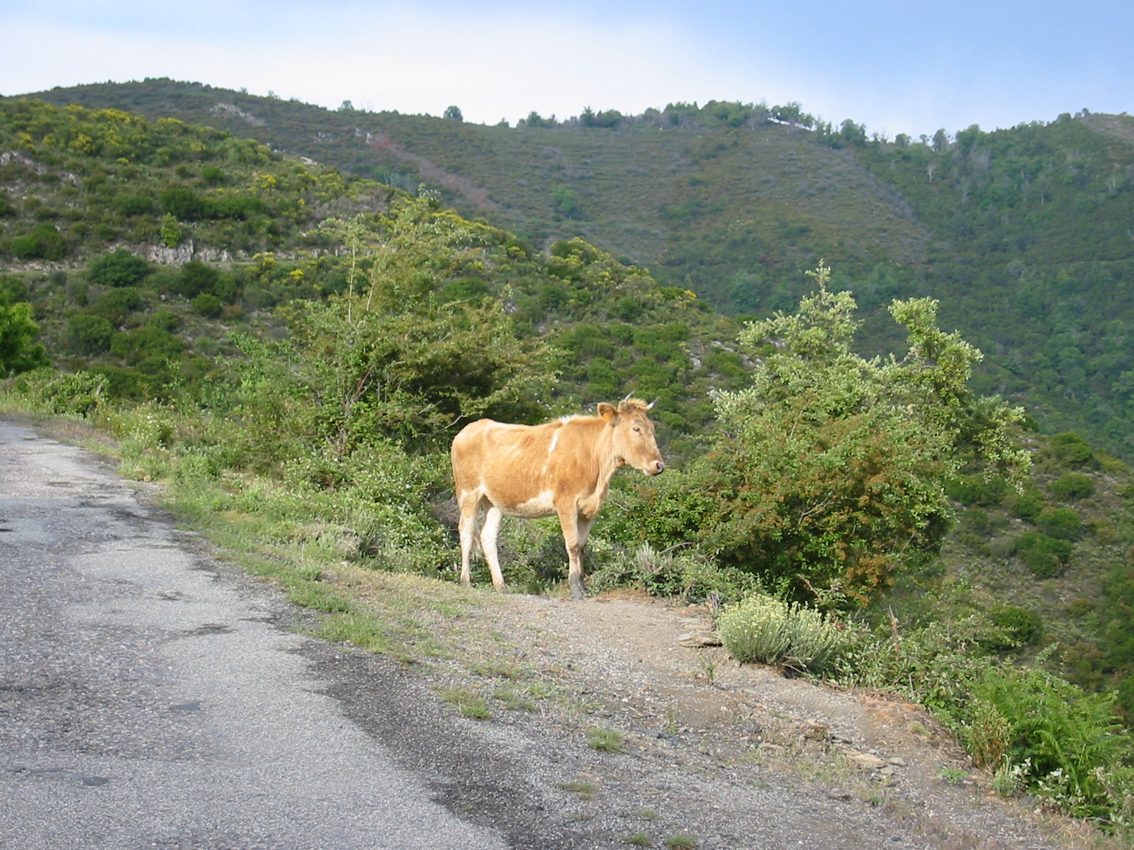 105-0576_IMG.JPG