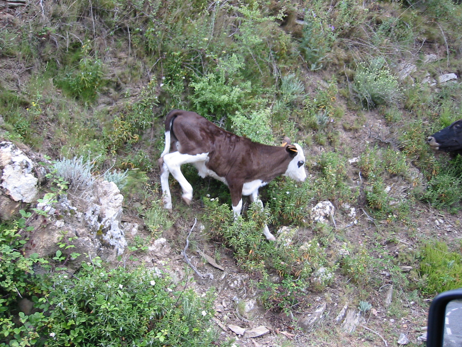 105-0579_IMG.JPG