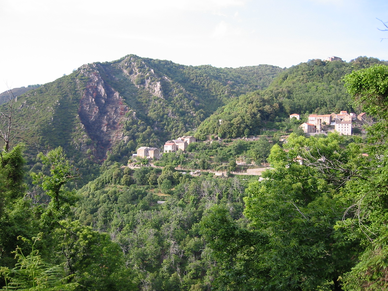 105-0581_IMG.JPG