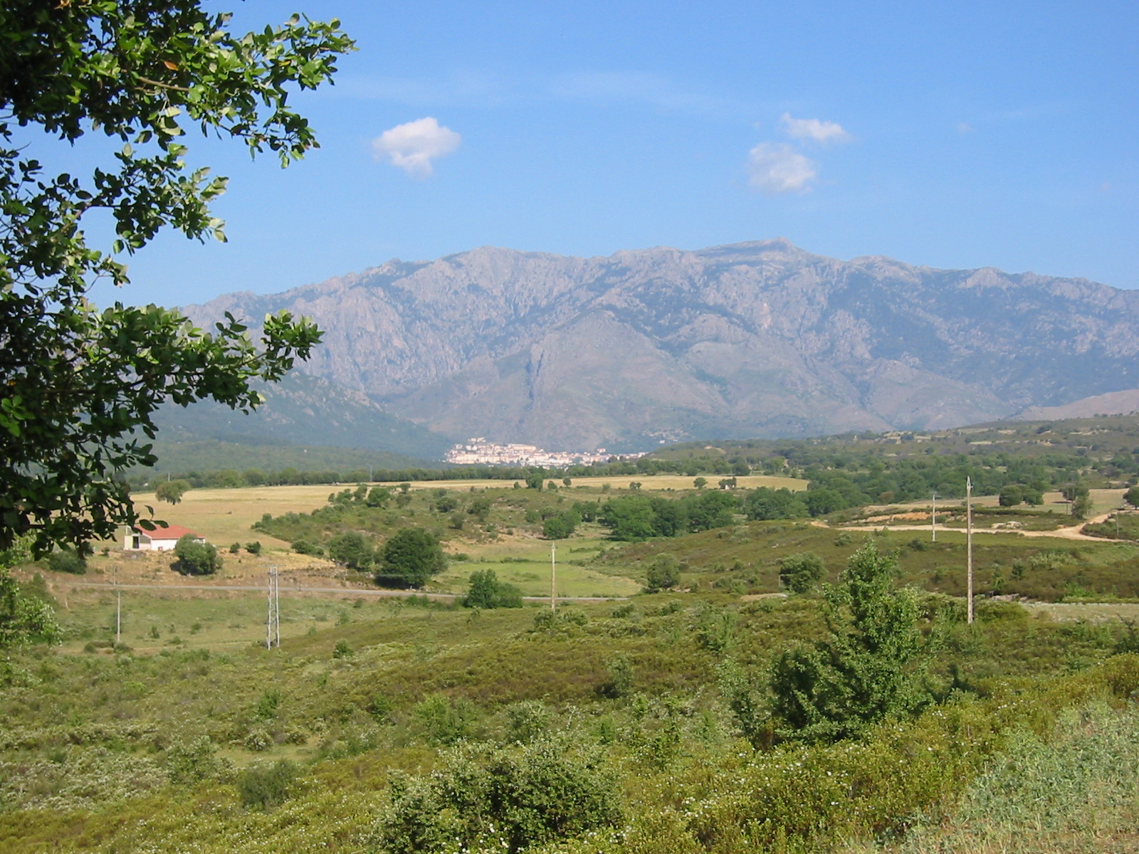 105-0591_IMG.JPG