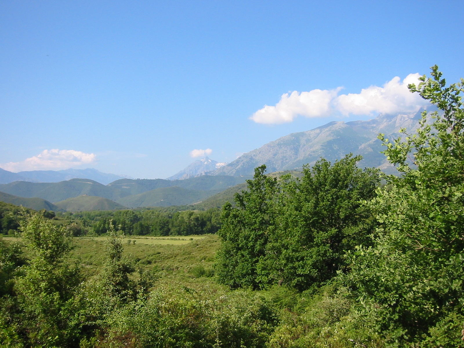 105-0592_IMG.JPG