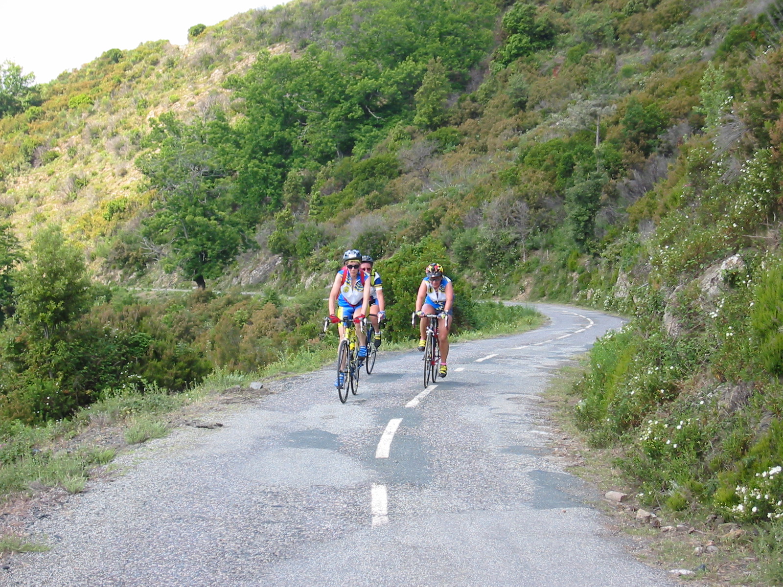 105-0599_IMG.JPG