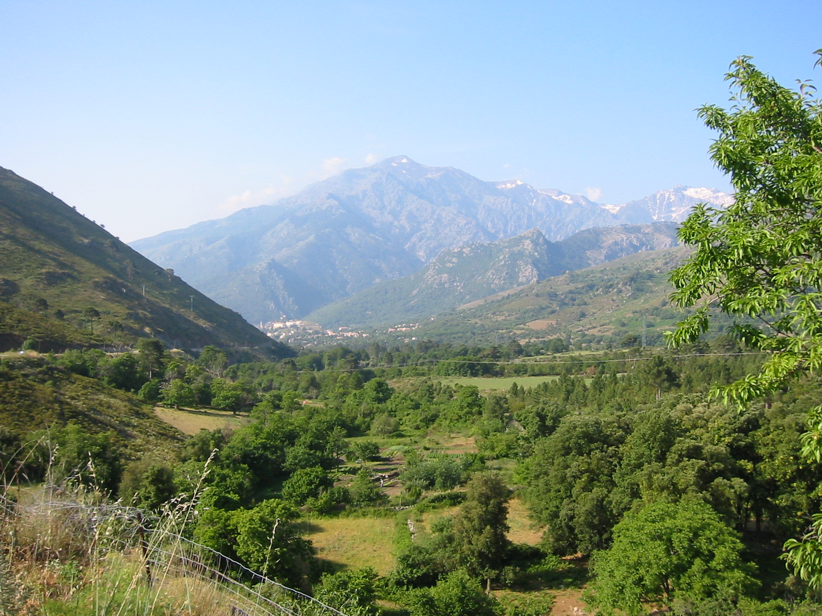 106-0641_IMG.JPG