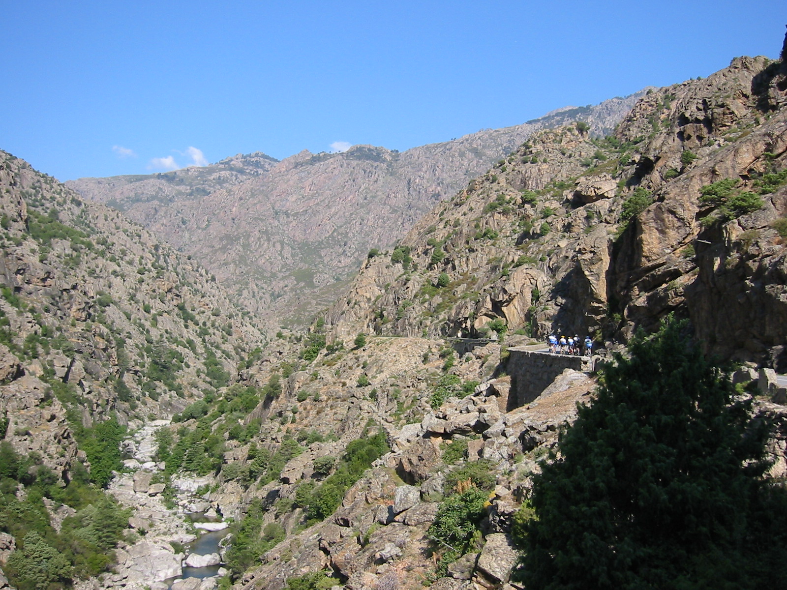 106-0645_IMG.JPG