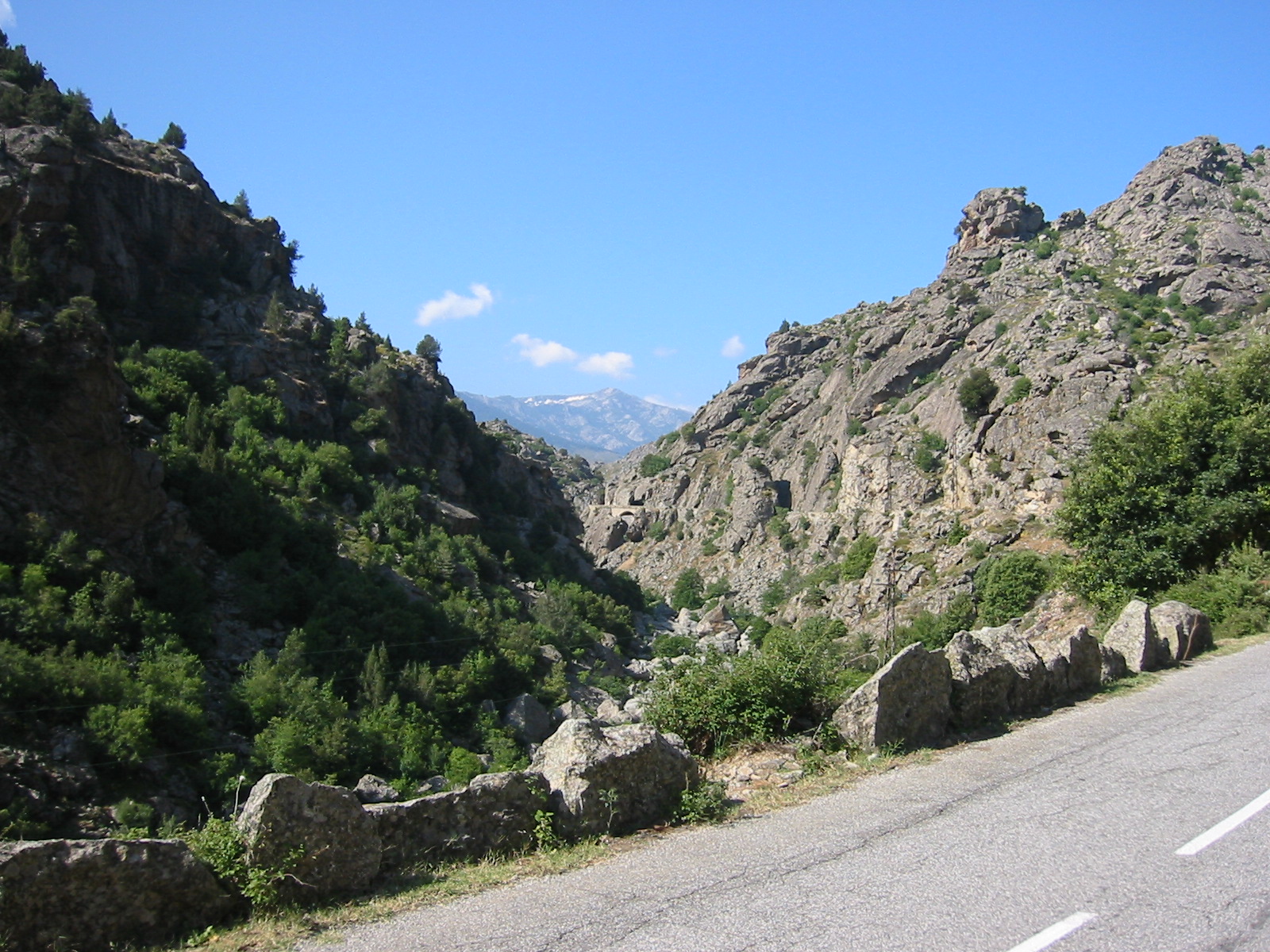 106-0646_IMG.JPG