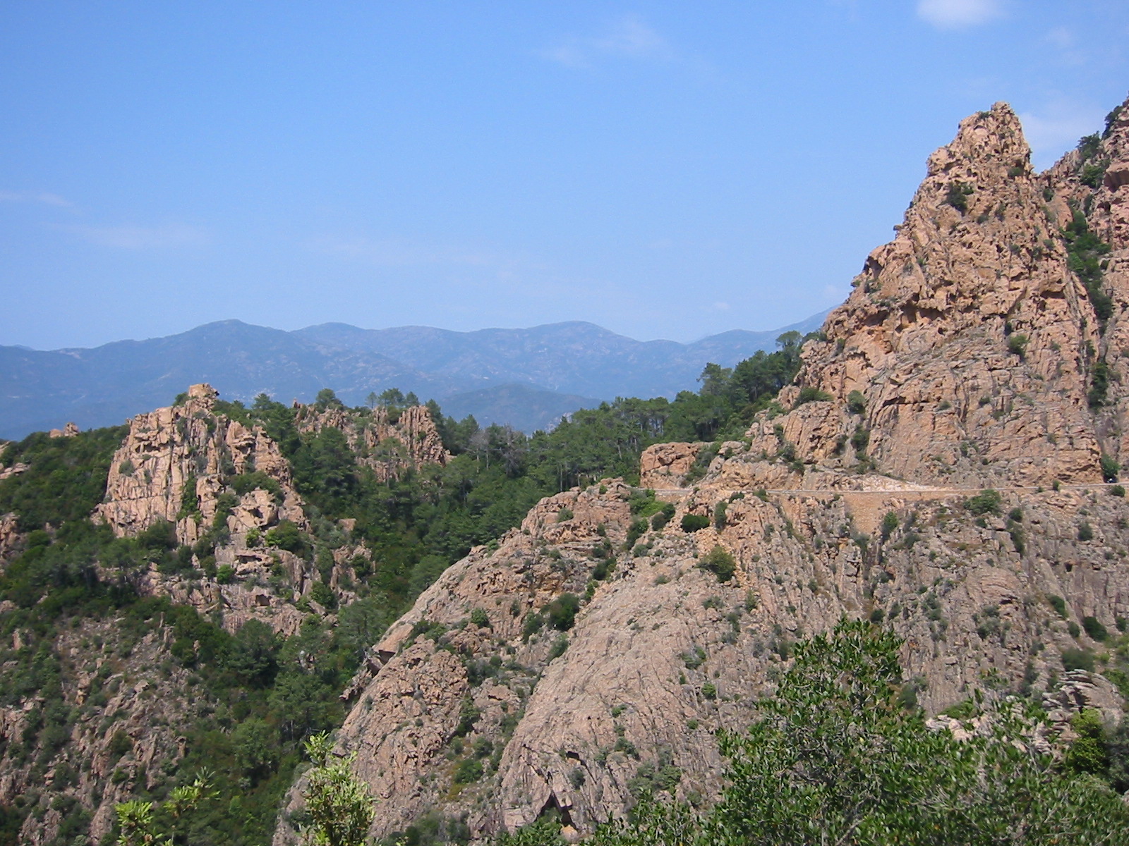 106-0662_IMG.JPG