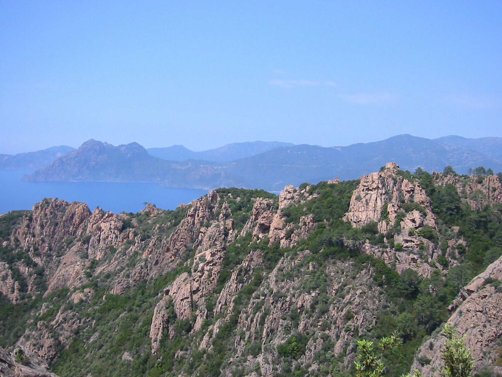 106-0663_IMG.JPG
