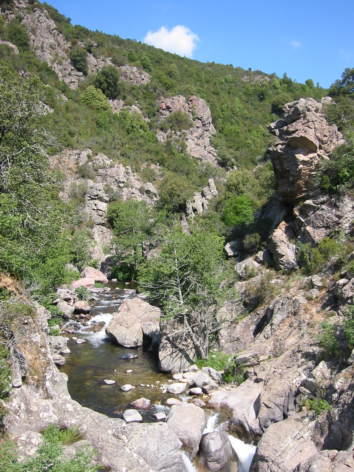 106-0694_IMG.JPG