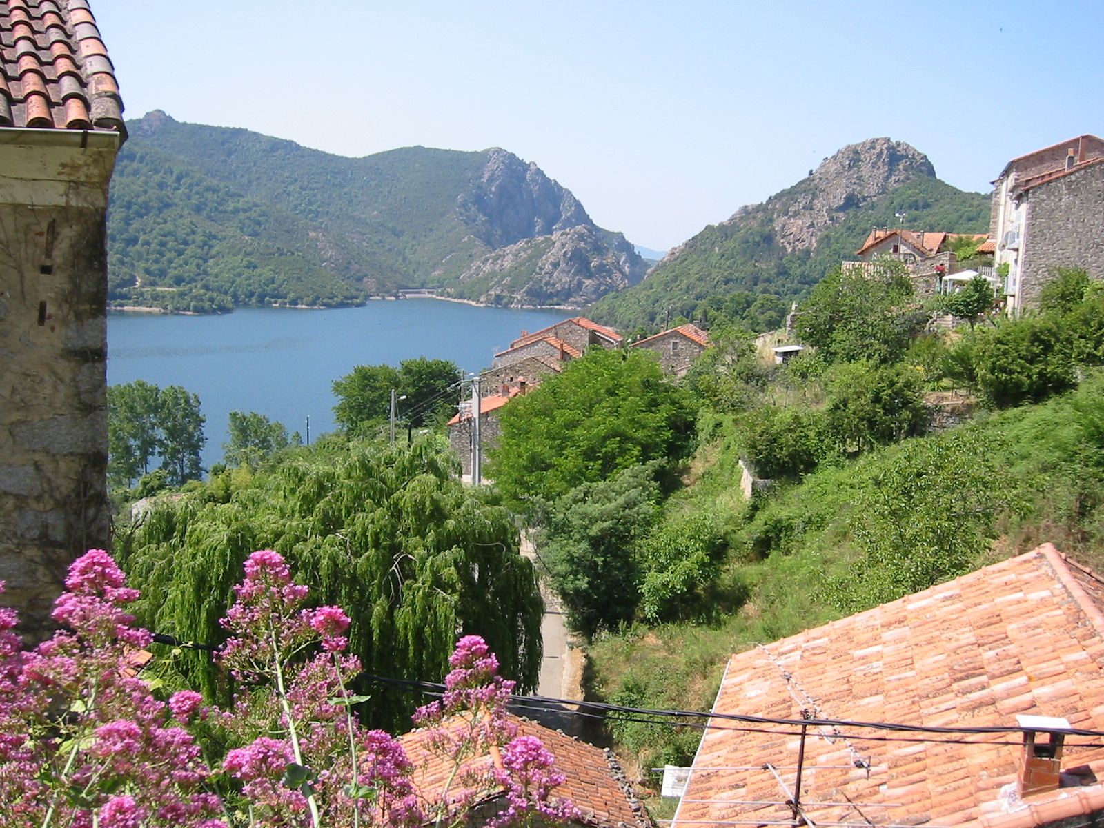 107-0701_IMG.JPG