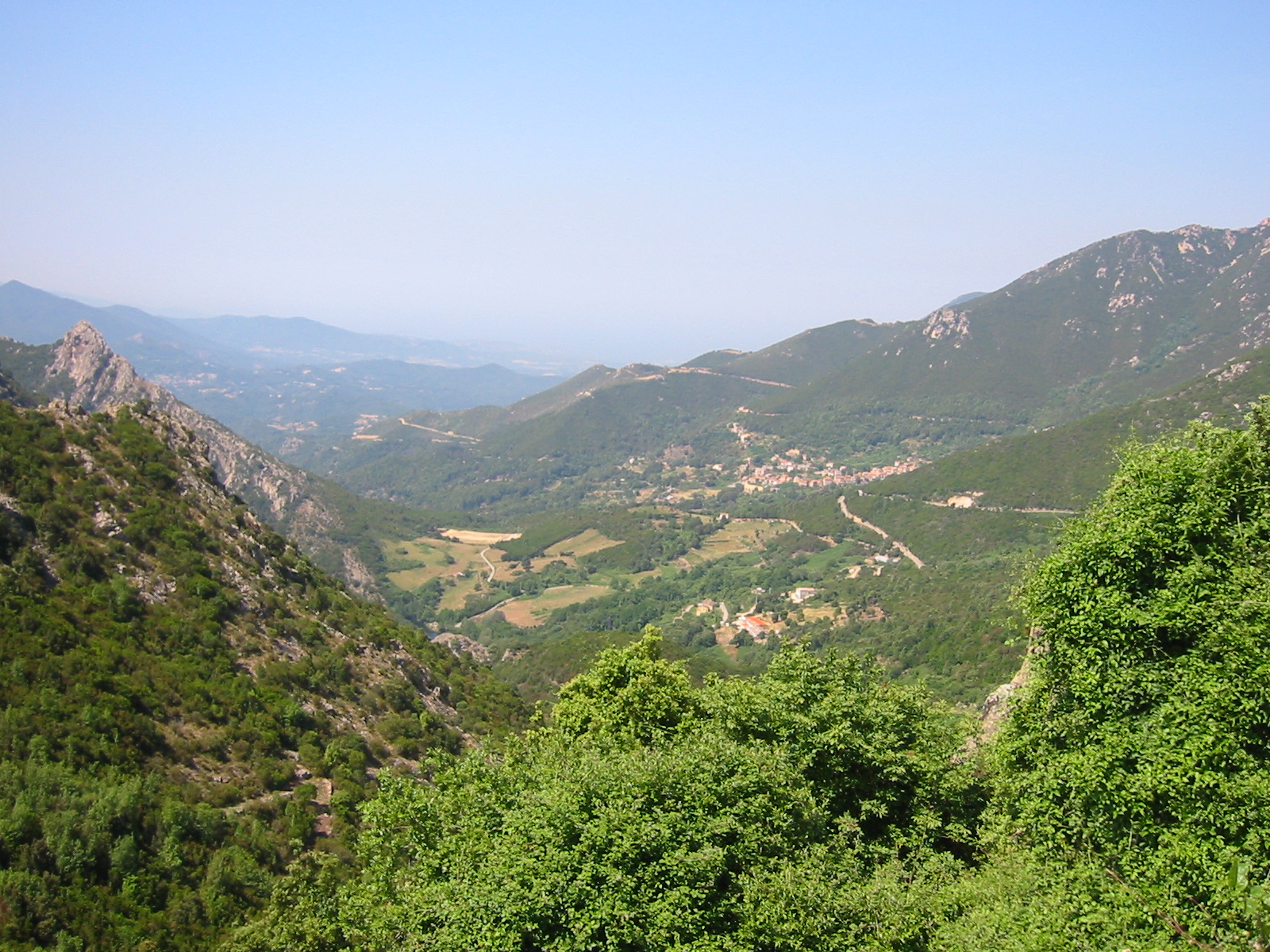 107-0705_IMG.JPG