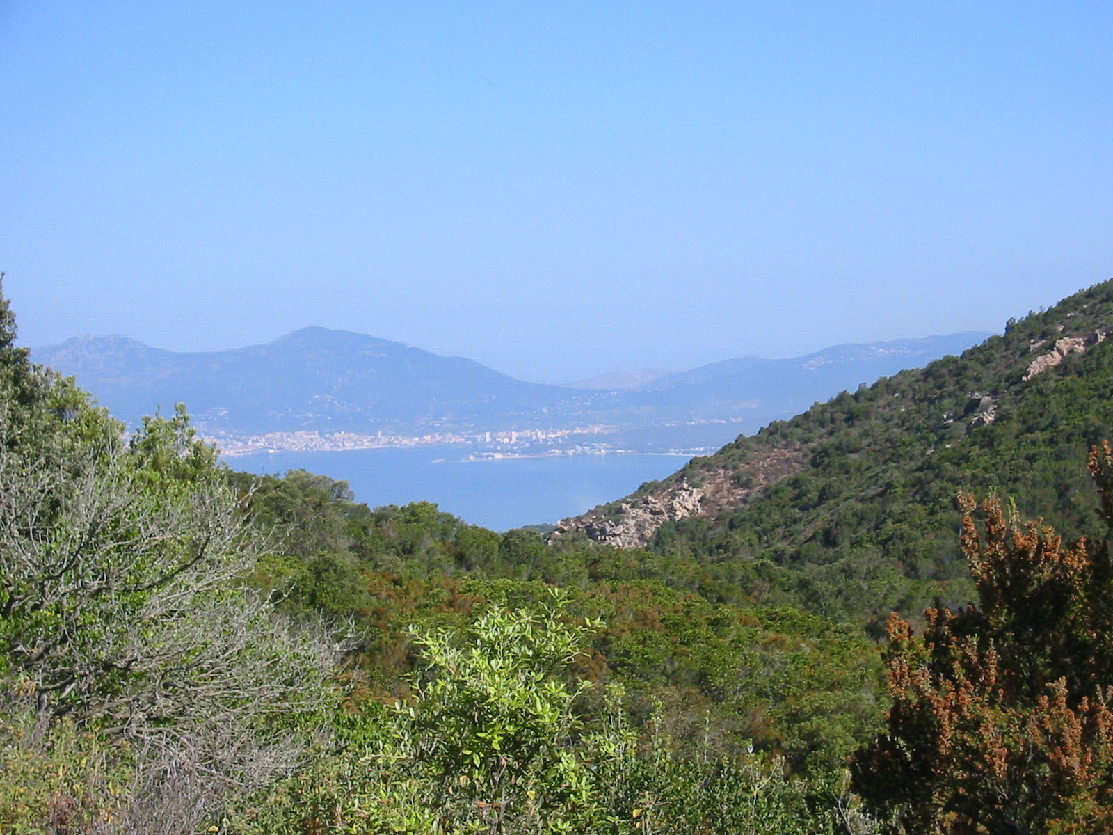 107-0726_IMG.JPG