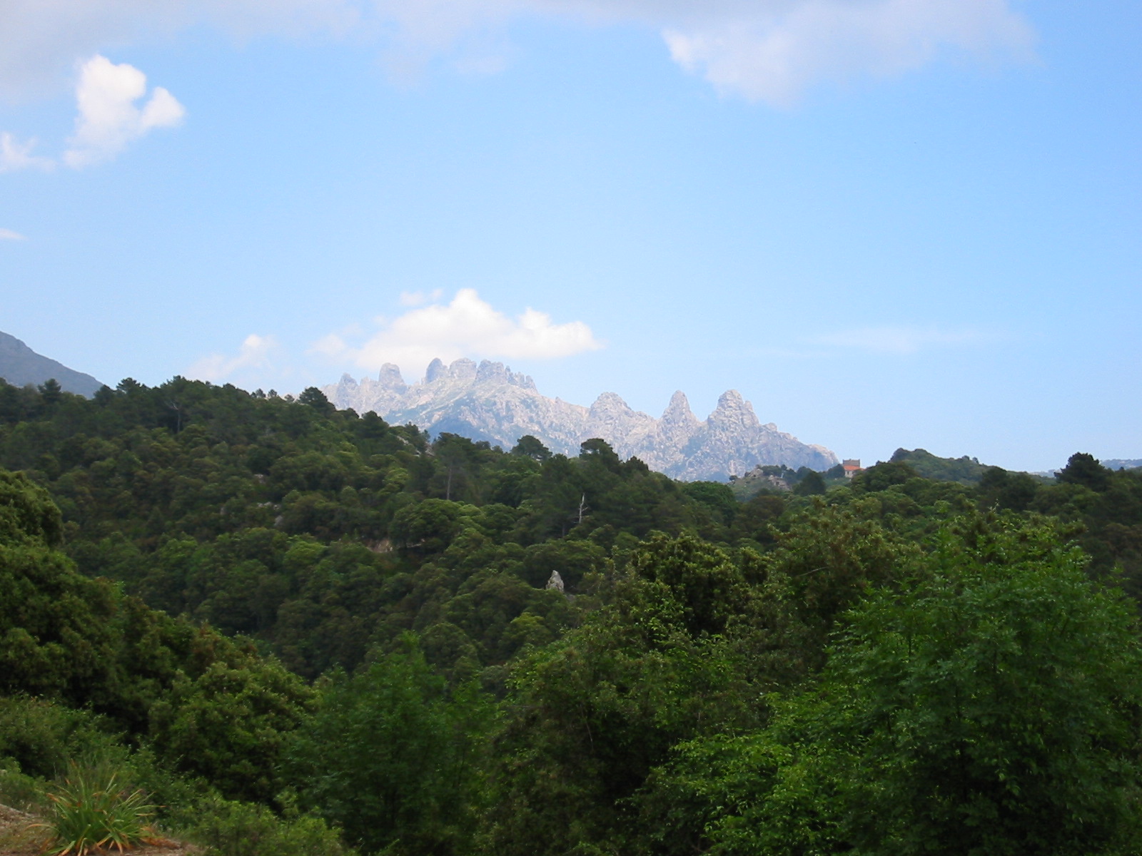 107-0741_IMG.JPG
