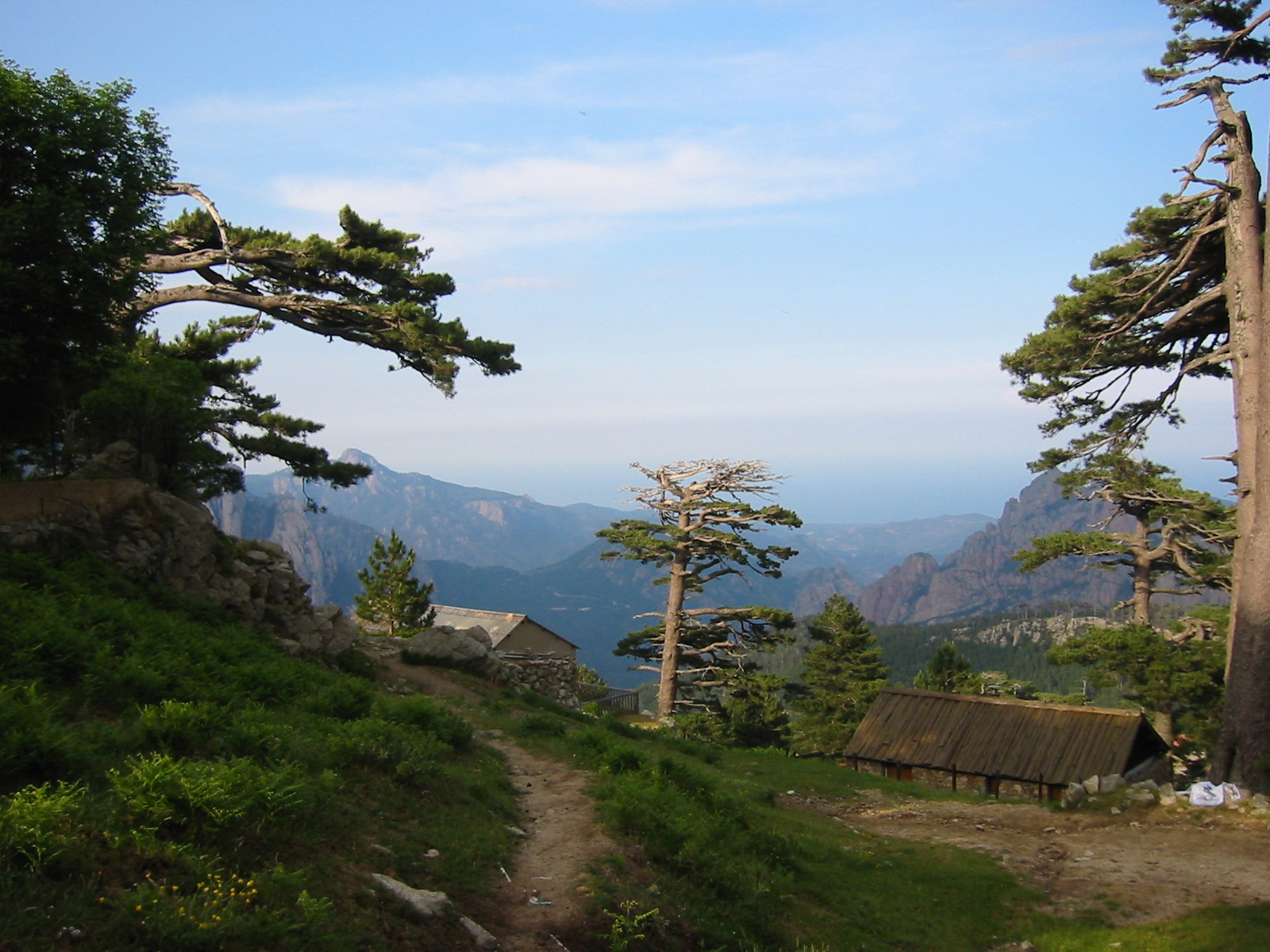 107-0746_IMG.JPG