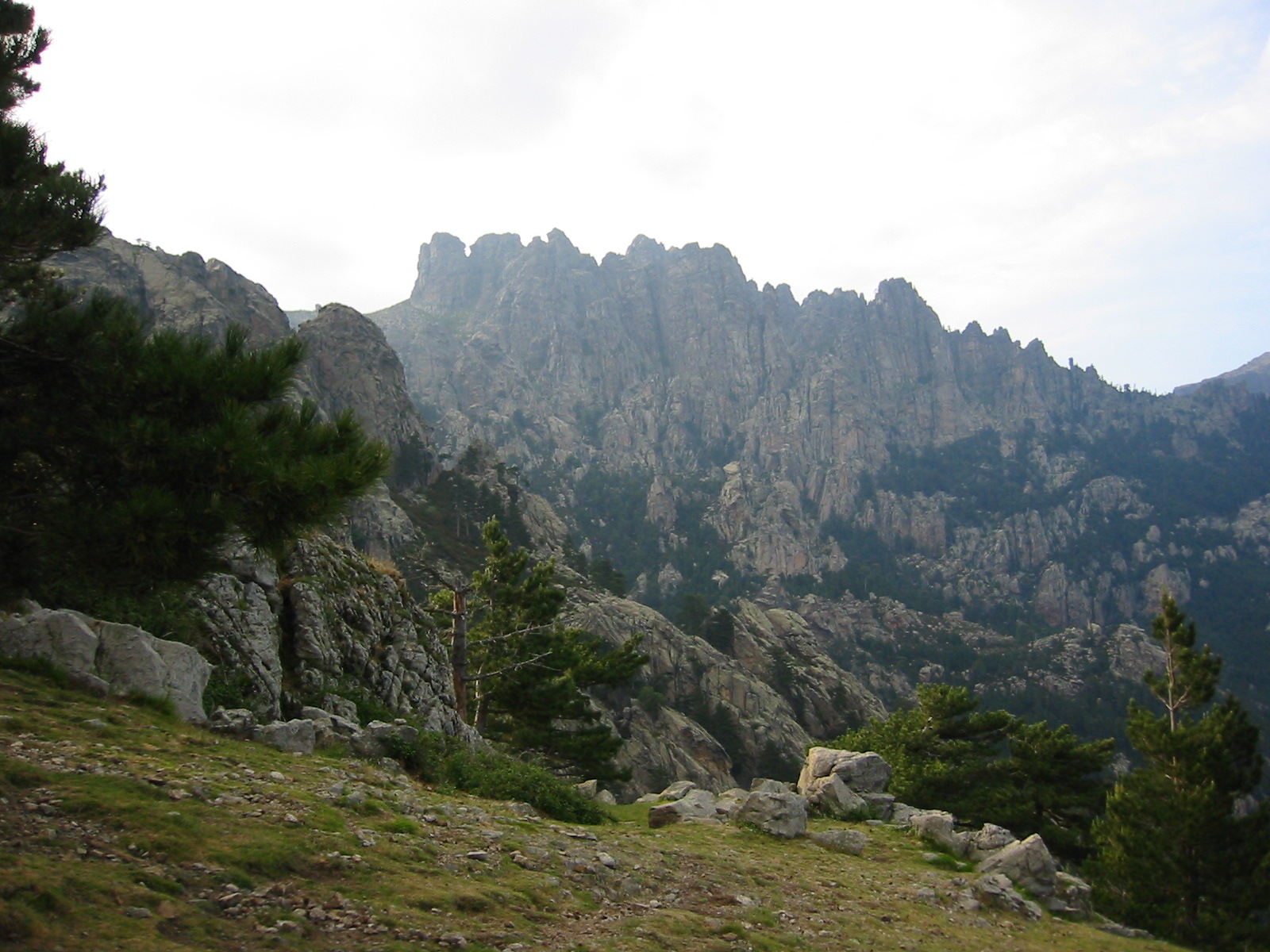 107-0750_IMG.JPG