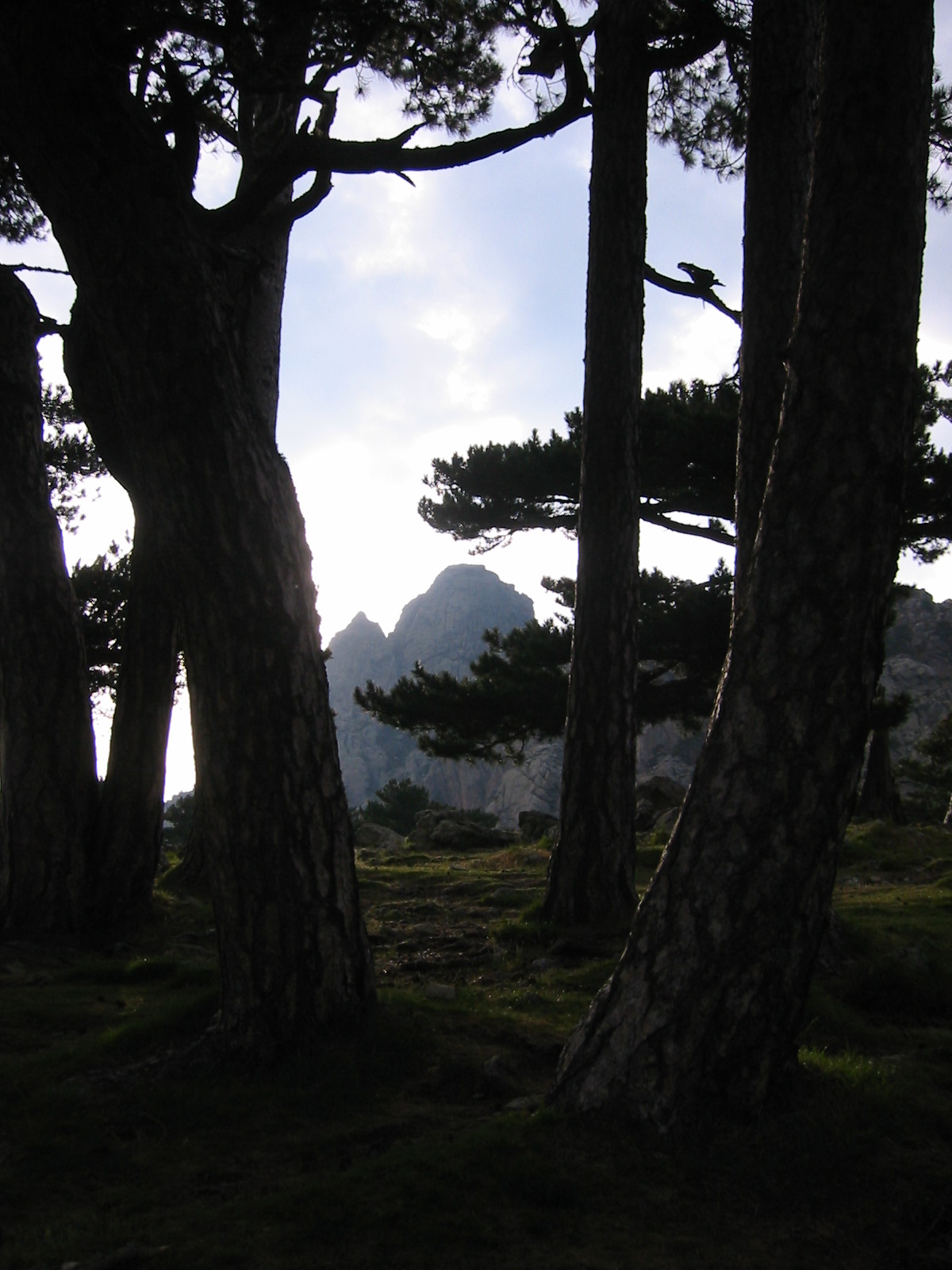107-0754_IMG.JPG
