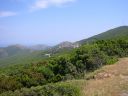105-0523_IMG.JPG