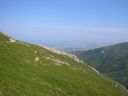 105-0545_IMG.JPG