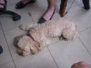 105-0561_IMG.JPG