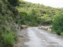 105-0572_IMG.JPG