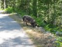 106-0651_IMG.JPG