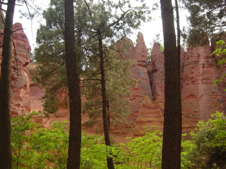 pic040.jpg