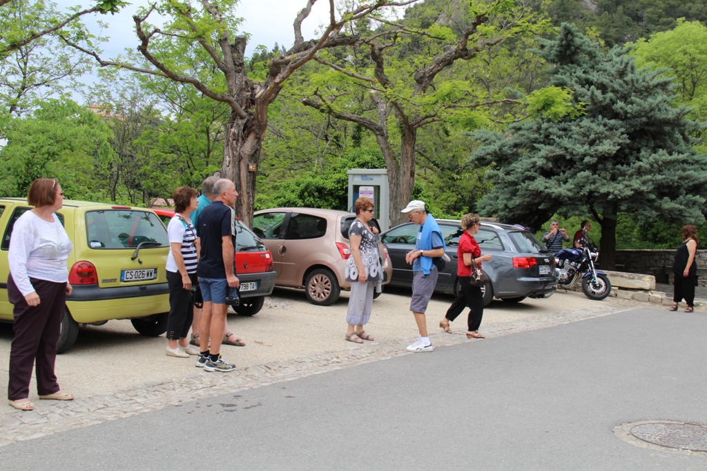 VaisonFlore_concours_013.jpg