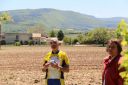 Vaison_C_L_M_052.jpg