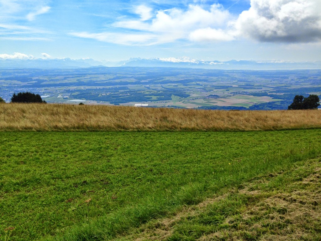 IMAGE_15.jpg