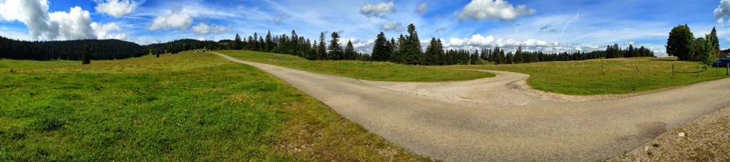 IMAGE_4.jpg