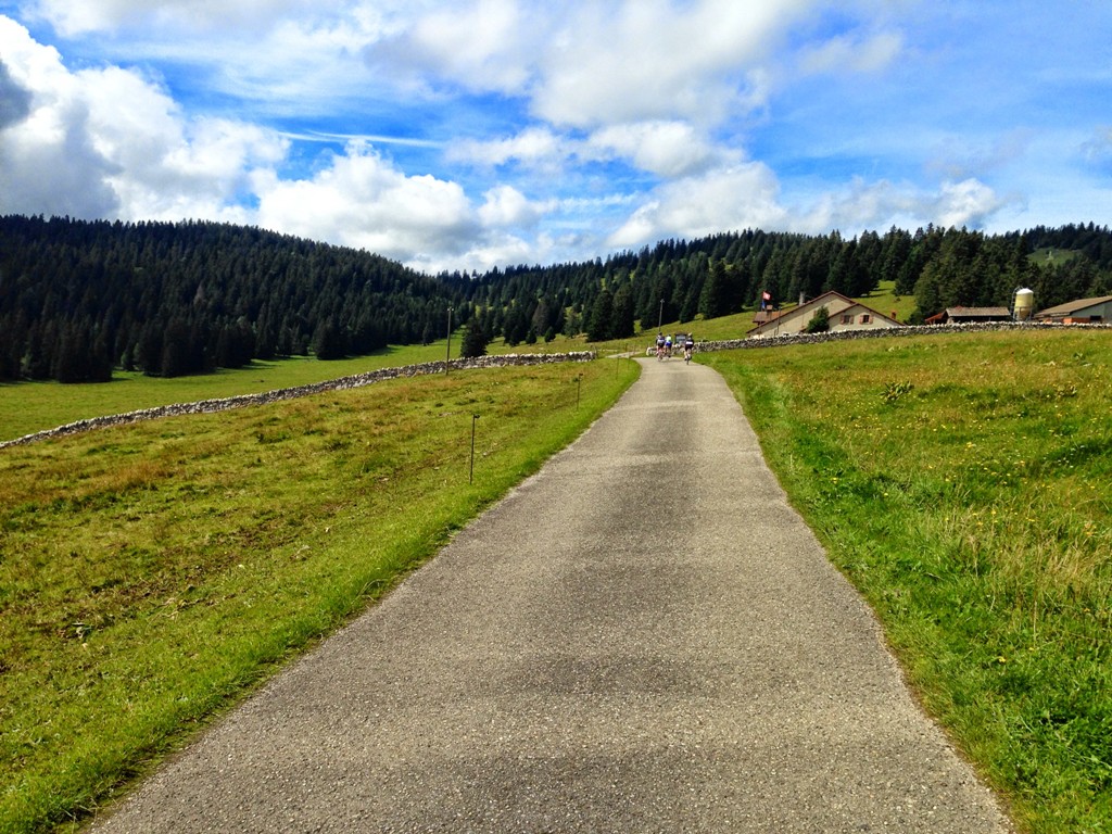 IMAGE_7.jpg