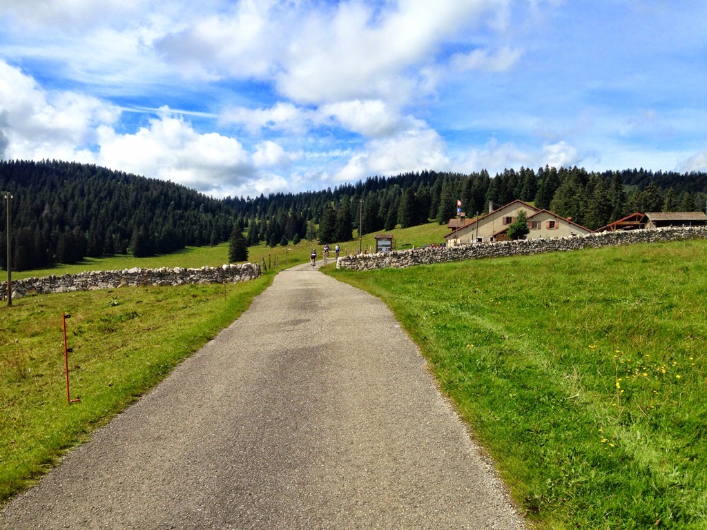 IMAGE_8.jpg