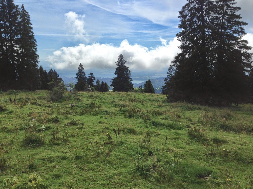 IMAGE_9.jpg